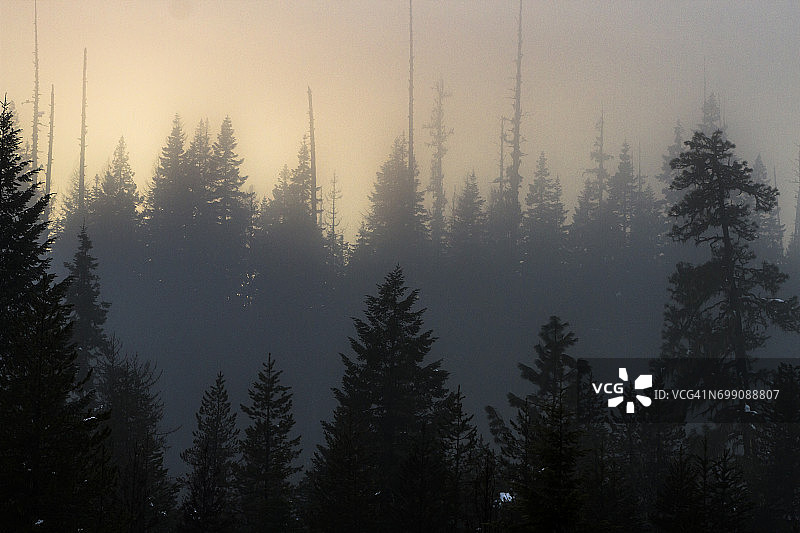 爱达荷州洛克萨河谷的雾日落图片素材