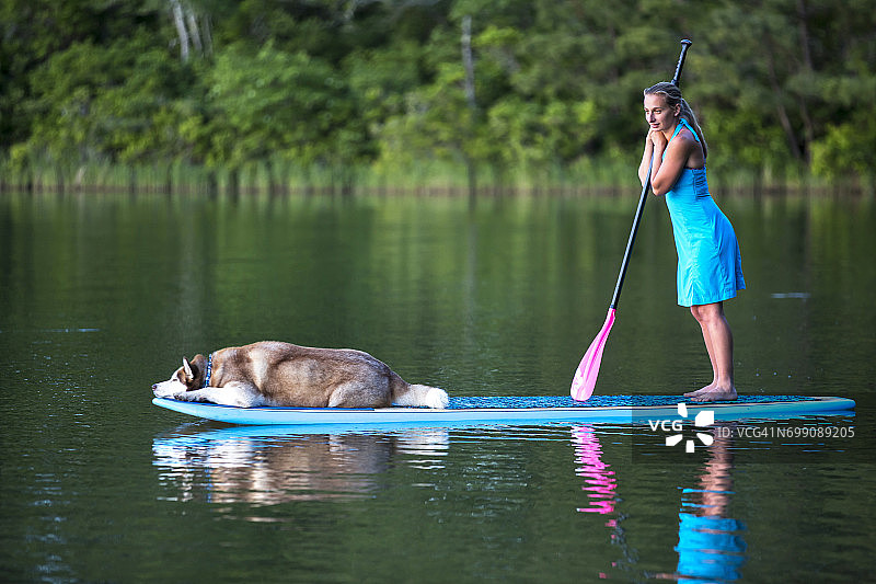 年轻女人和她的西伯利亚哈士奇一起玩桨板图片素材