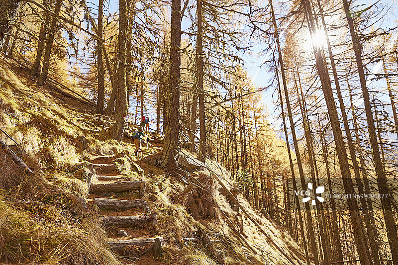 家庭徒步旅行，后视图，低角度视图，施纳尔斯塔尔，意大利南蒂罗尔图片素材