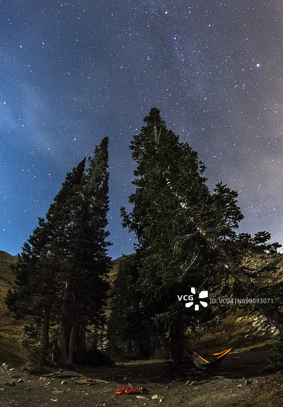 夜间吊床休闲时光图片素材