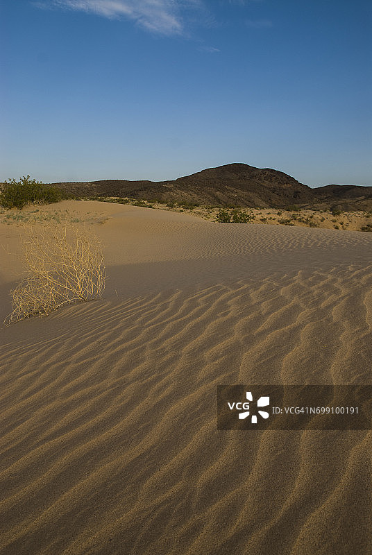 内华达州米德湖岸边的沙丘图片素材