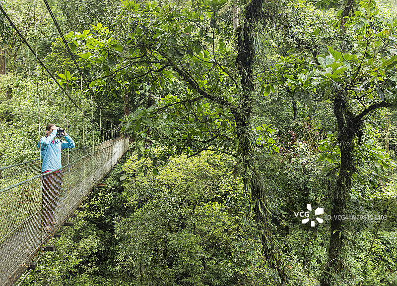 在哥斯达黎加云雾森林中寻找野生动物的天桥上的女人图片素材
