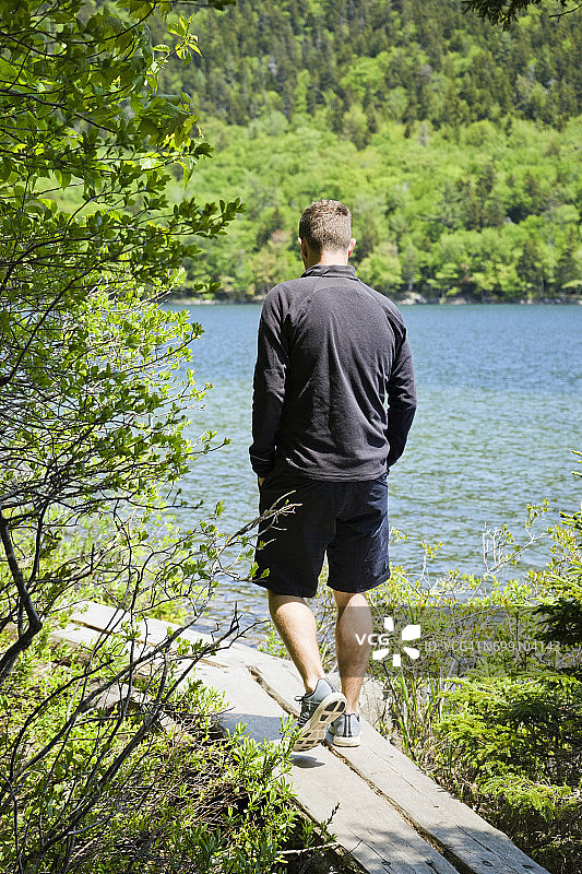 男人在乔丹池塘边走过分叉树木的木板路图片素材