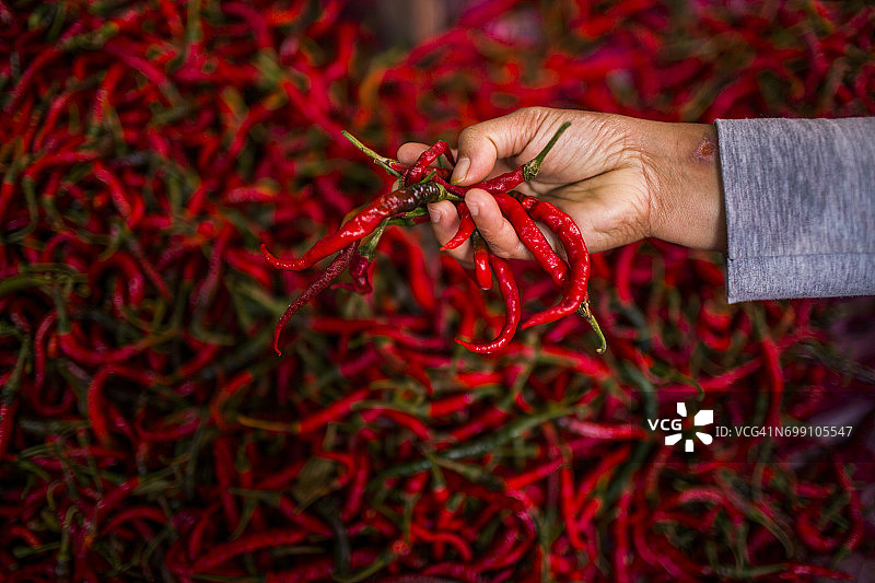 印度尼西亚苏门答腊岛克林西山谷市场：手持新鲜红辣椒图片素材