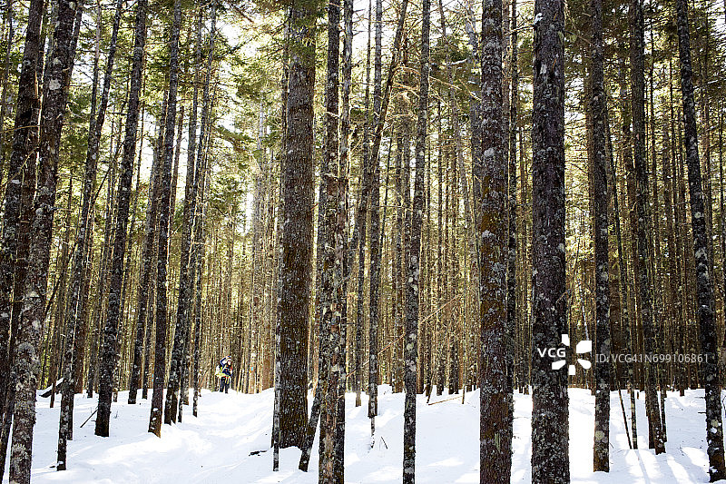 年轻女子穿着雪鞋图片素材