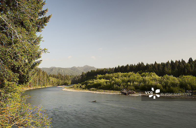 奥林匹克国家公园的森林河流图片素材