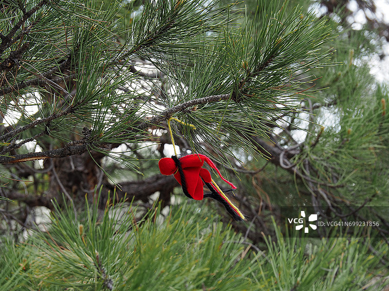 怀俄明州魔鬼塔国家纪念碑的拉科塔美洲原住民祭品图片素材