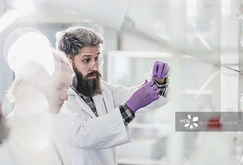 科学家将液体倒入试管图片素材