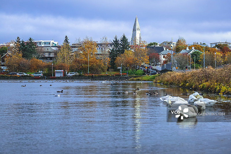 冰岛雷克雅未克特约宁湖畔哈尔格林姆教堂图片素材