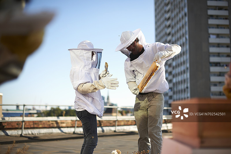 养蜂人在城市屋顶讨论蜂巢图片素材