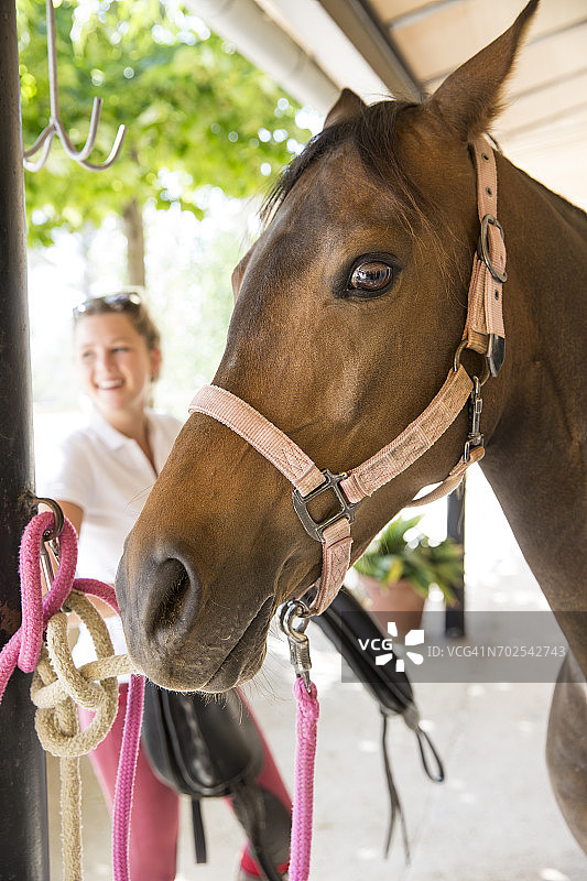 乡村马厩里的马和女马夫肖像图片素材