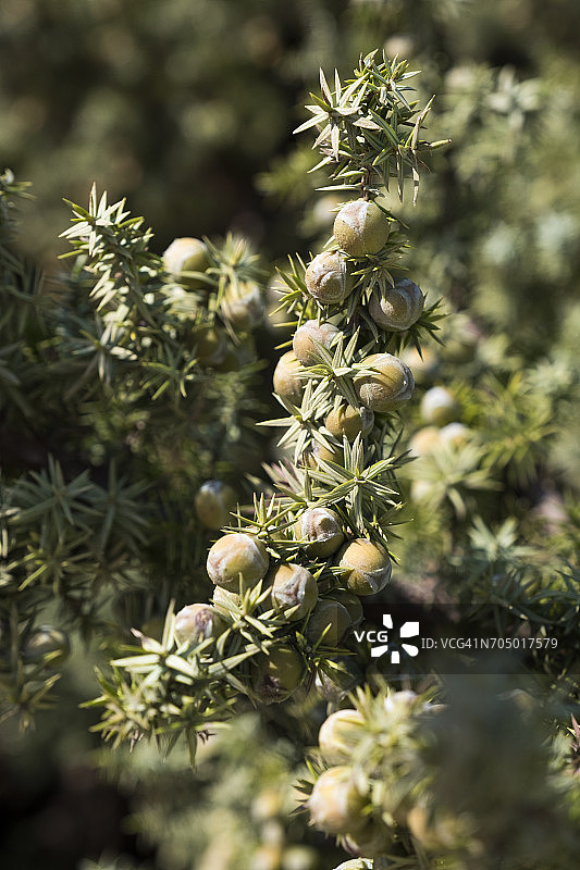 希腊风光图片素材