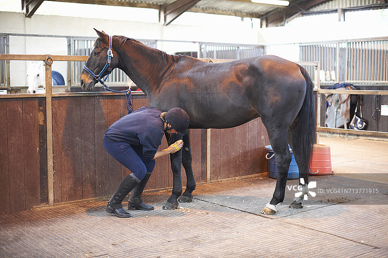 年轻女人用马刷给马刷毛图片素材