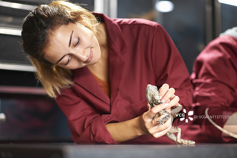女大学生在实验室里处理伞蜥图片素材