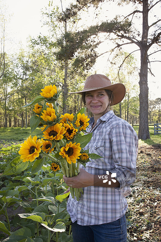 年轻女人手捧向日葵花田里图片素材