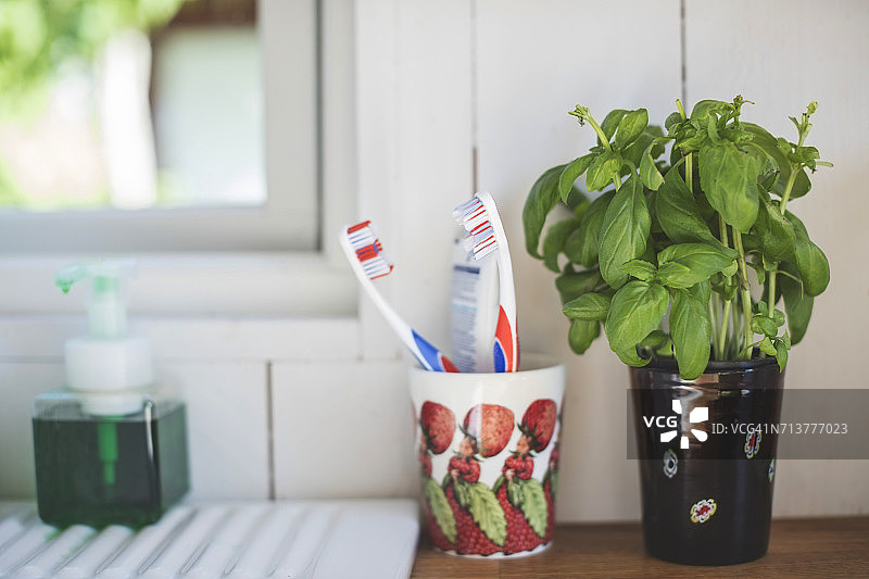 浴室白色墙壁架子上的盆栽牙刷架图片素材