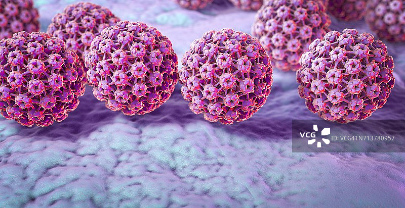 人乳头瘤病毒，图示图片素材