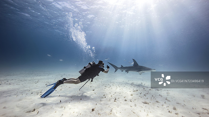 男性潜水员在海底附近观看鲨鱼的水下景观图片素材