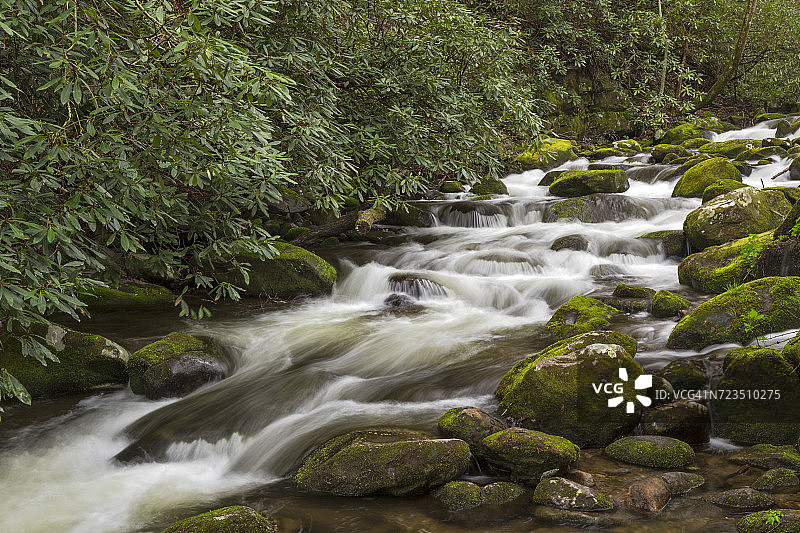 咆哮叉流经苔藓覆盖的巨石，咆哮叉汽车自然小径，大雾山国家公园，田纳西州，美国图片素材