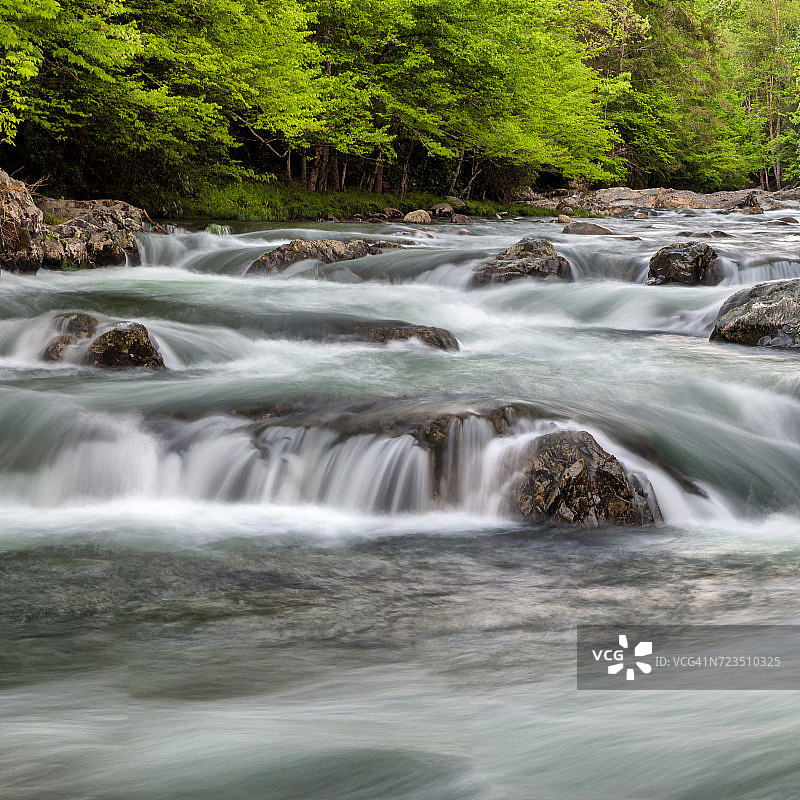 美国田纳西州大雾山国家公园绿蔷薇区的小鸽子河图片素材