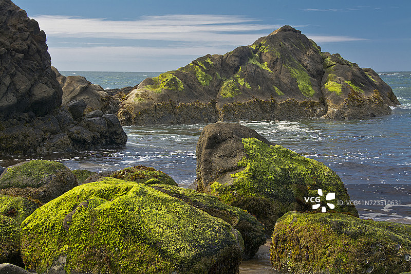 美国俄勒冈州德波湾福格蒂溪州立游乐区覆盖着苔藓的岩石图片素材