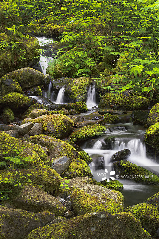 美国俄勒冈州提什溪瀑布图片素材