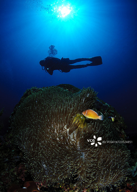 菲律宾杜马盖地潜水员图片素材