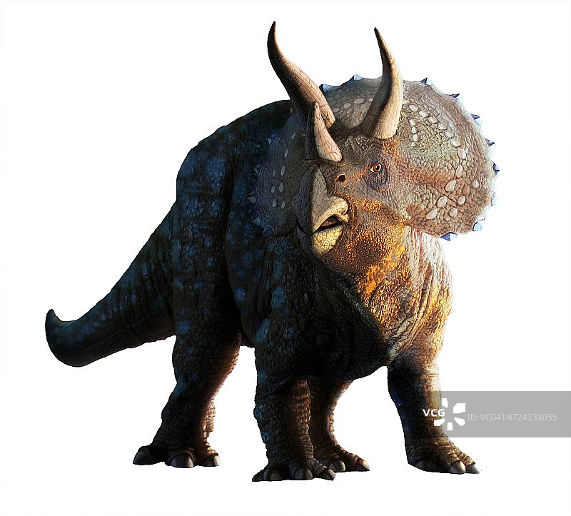 三角龙艺术作品图片素材