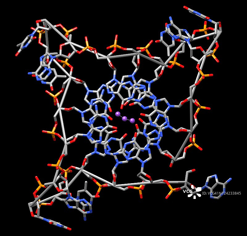 人体端粒G四链体图片素材