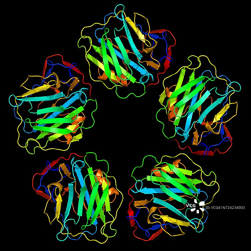 C反应蛋白分子模型图片素材