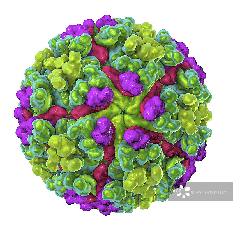 基孔肯雅病毒图示图片素材