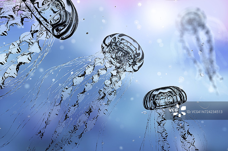 水母插画图片素材