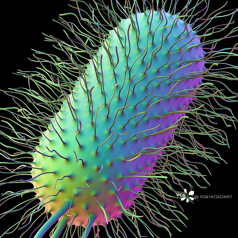 大肠杆菌艺术图图片素材