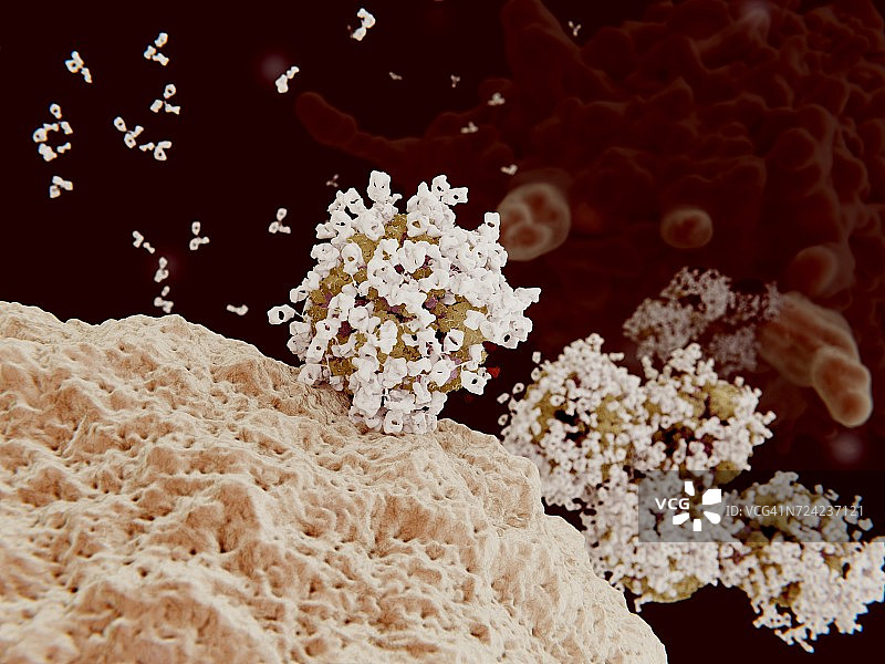 对病毒的免疫反应，图示图片素材