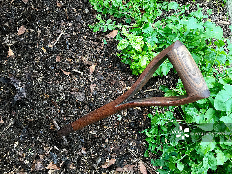 绿色/可持续生活图片素材