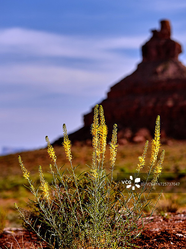 花力量图片素材