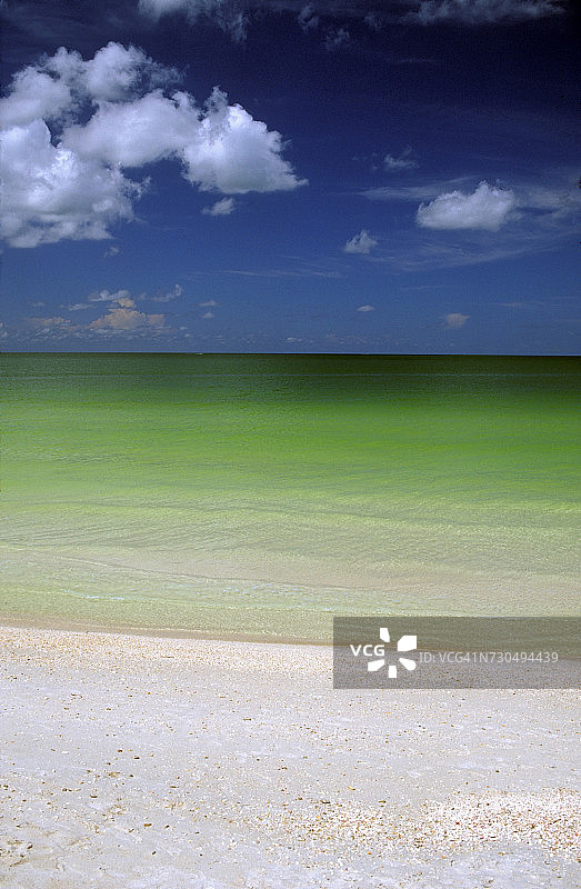 世界海洋日图片素材