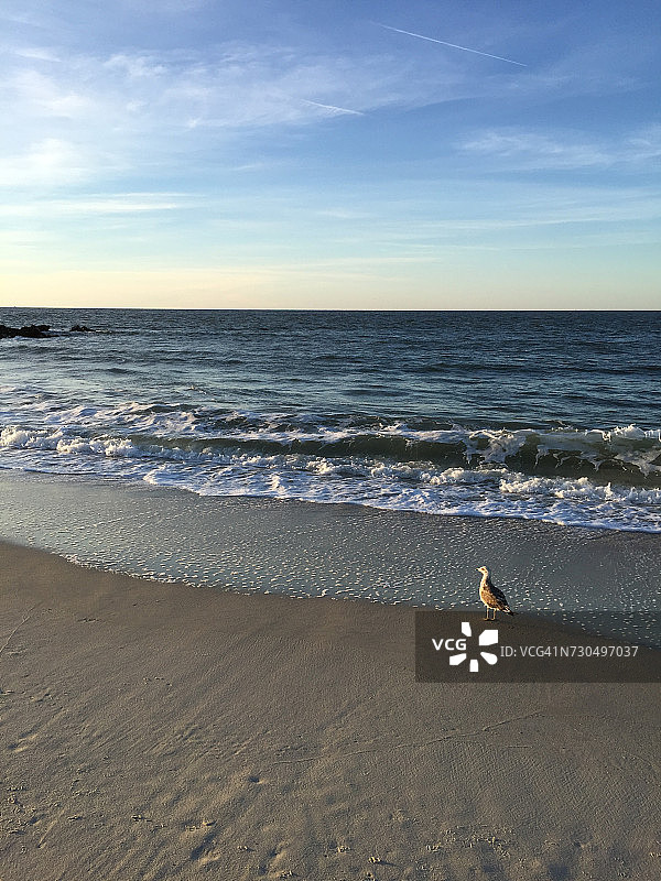 世界海洋日图片素材