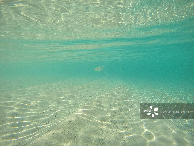 世界海洋日图片素材