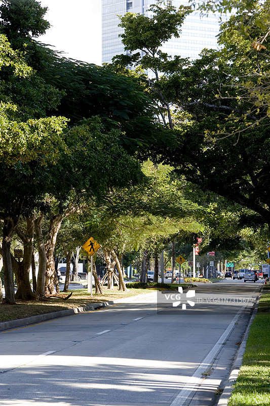 美国佛罗里达州迈阿密的树木成荫街道，US-1图片素材