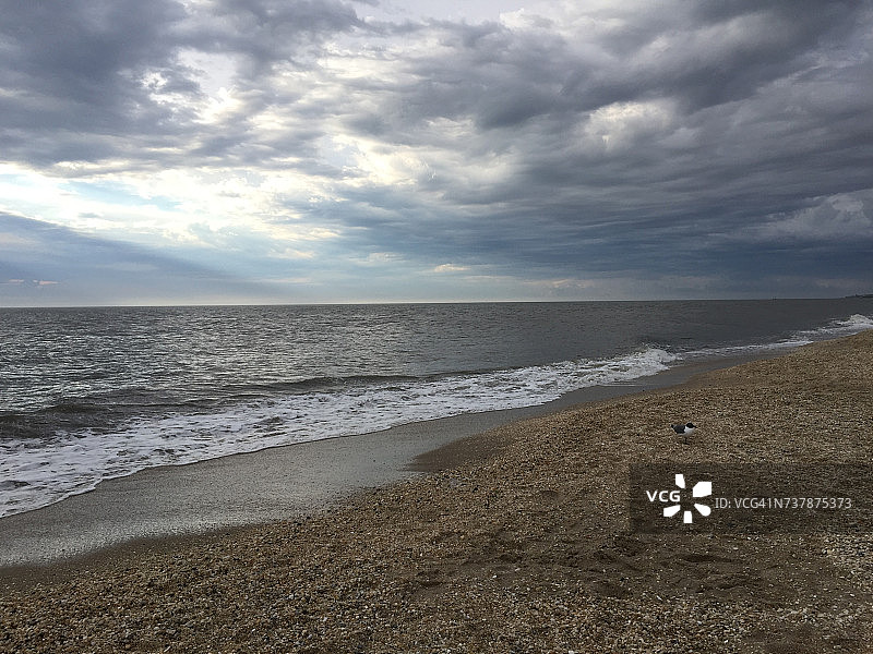 海滩场景图片素材