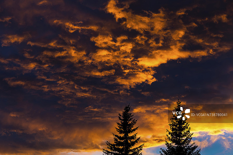 日落时分绚丽云彩下的常绿树剪影图片素材
