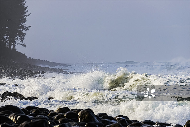 俄勒冈海岸蒂拉穆克角附近的波浪冲击岩石图片素材