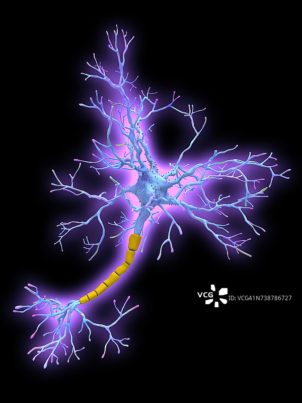 神经元，插图图片素材