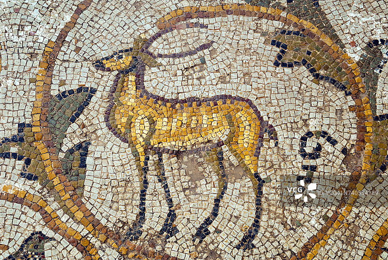 鹿马赛克，狩猎新屋，突尼斯布拉雷吉亚考古遗址图片素材