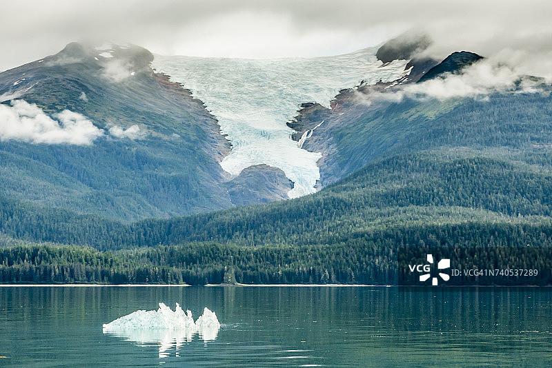 美国阿拉斯加州通加斯国家森林 Endicott Arm，背景是冰川的海中冰山图片素材