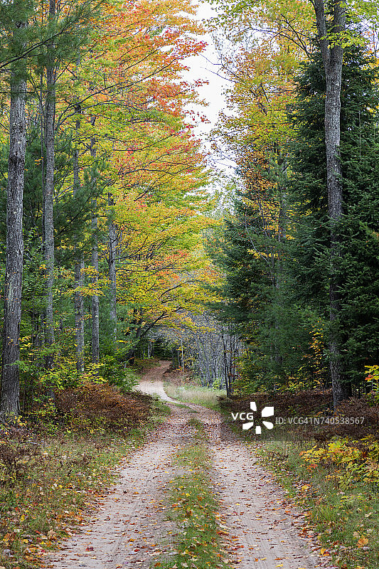 美国密歇根州上半岛海厄瓦萨国家森林的秋色道路图片素材