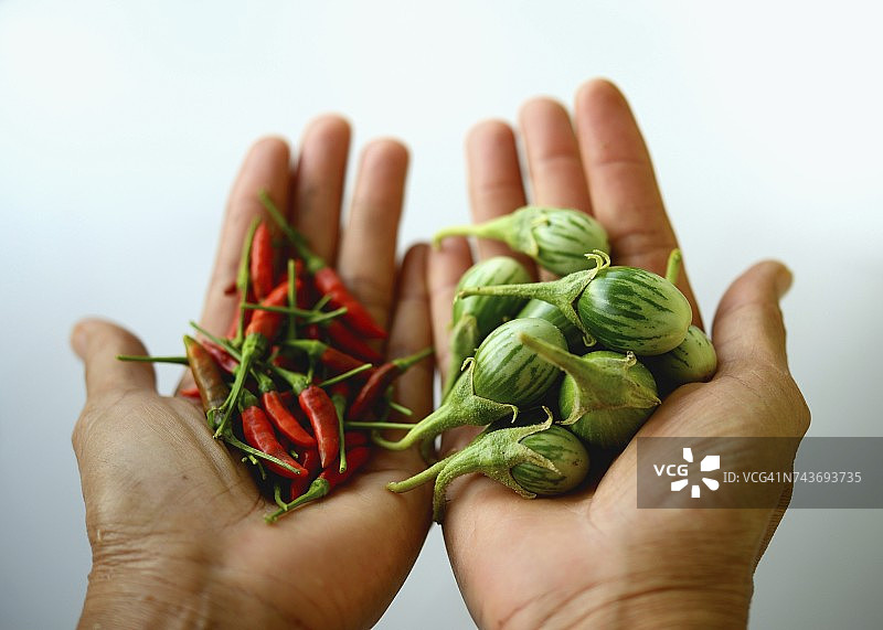 手持泰国茄子和红辣椒图片素材