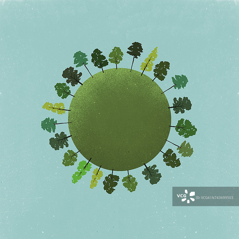 树木生长在田野上的小星球图片素材