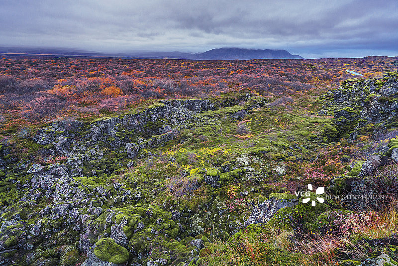 辛格韦德利国家公园的熔岩和苔藓景观，联合国教科文组织世界遗产，冰岛图片素材